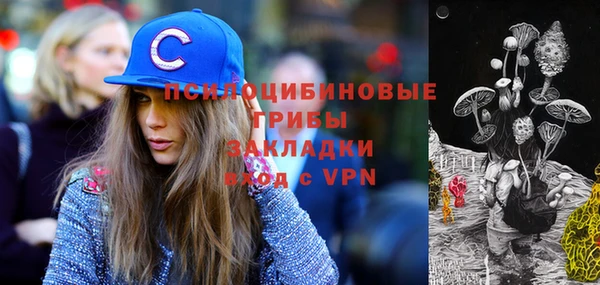 героин Богданович