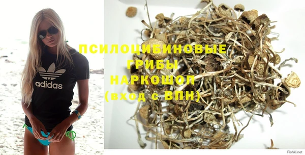 героин Богданович