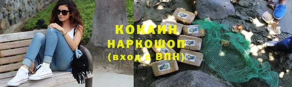 сатива Богородицк