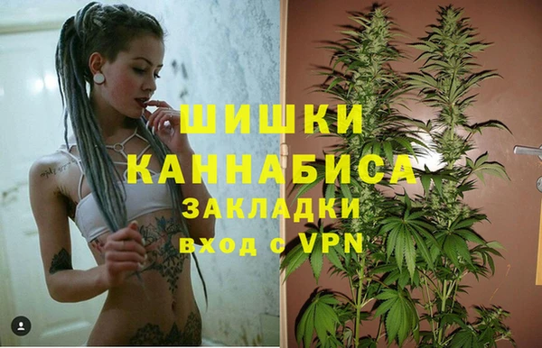 сатива Богородицк