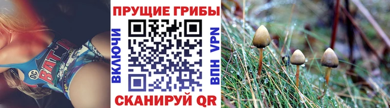 Псилоцибиновые грибы мухоморы  магазин    Кологрив 
