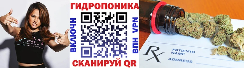 Бошки Шишки AK-47  Кологрив 